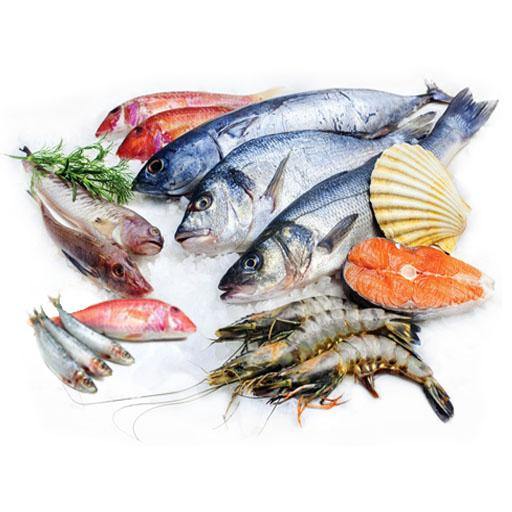Fresh fish, shrimp and salmon on ice