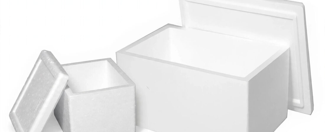 Thermocol Box Sizes Guide: 3kg vs 5kg — Which One Do You Need?